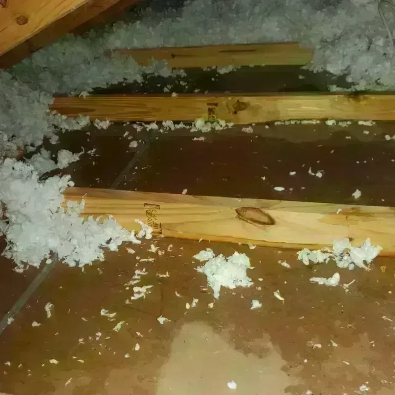 Attic Water Damage in Munford, AL