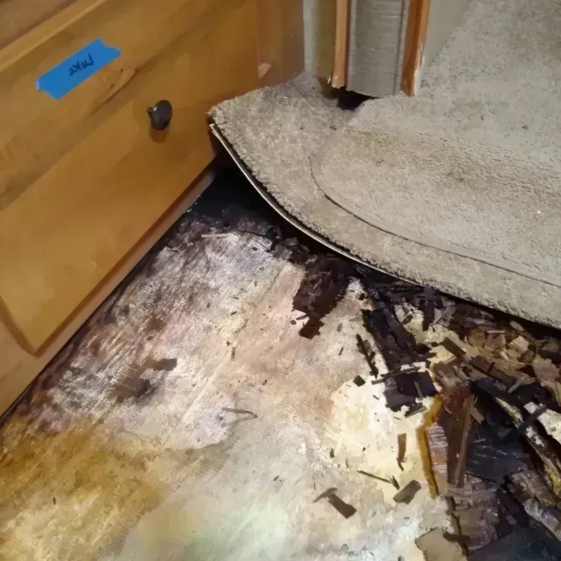 Wood Floor Water Damage in Munford, AL